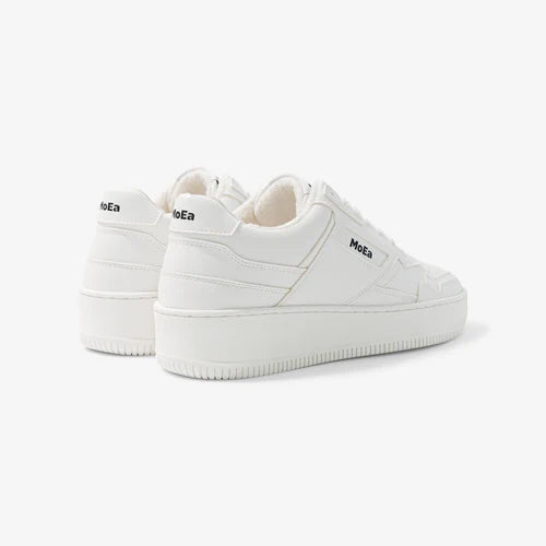 GEN1 - Grapes Full White