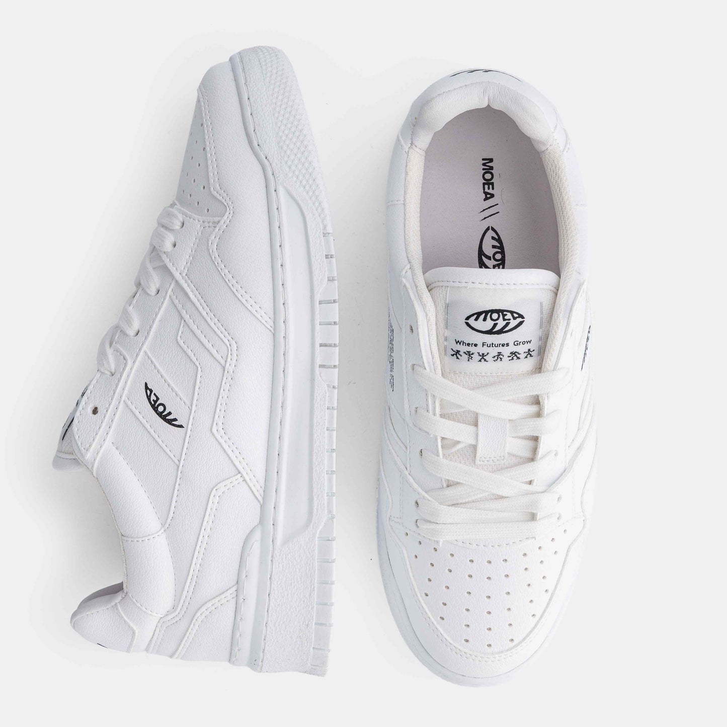 Echo - Full White Grnd - Corn