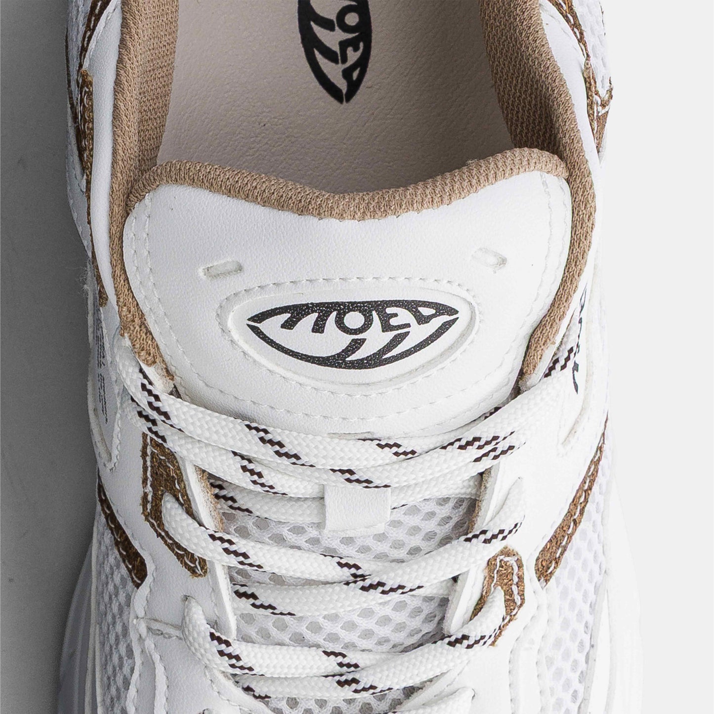 Rush - White & Brown - Palm