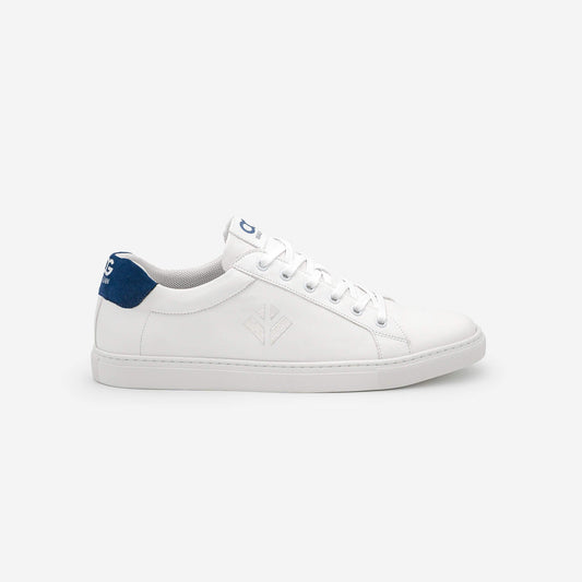Winton - Blanc Bleu